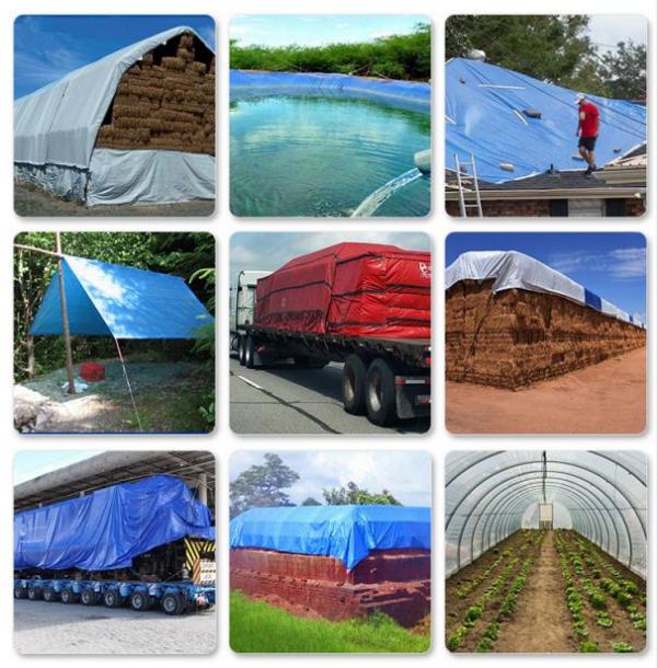 篷布：守護(hù)您的世界，從細(xì)節(jié)開(kāi)始