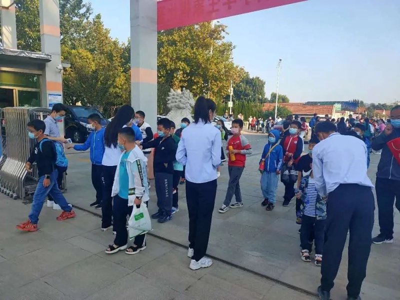 平度围棋:传承与创新的艺术之旅