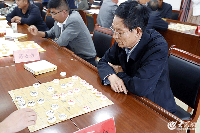 平度市棋类协会:传承与创新的魅力